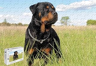 PigBangbang,20.6 X 15.1 Inch,Basswood -Animal Rottweiler - 500 Piece Jigsaw Puzzle