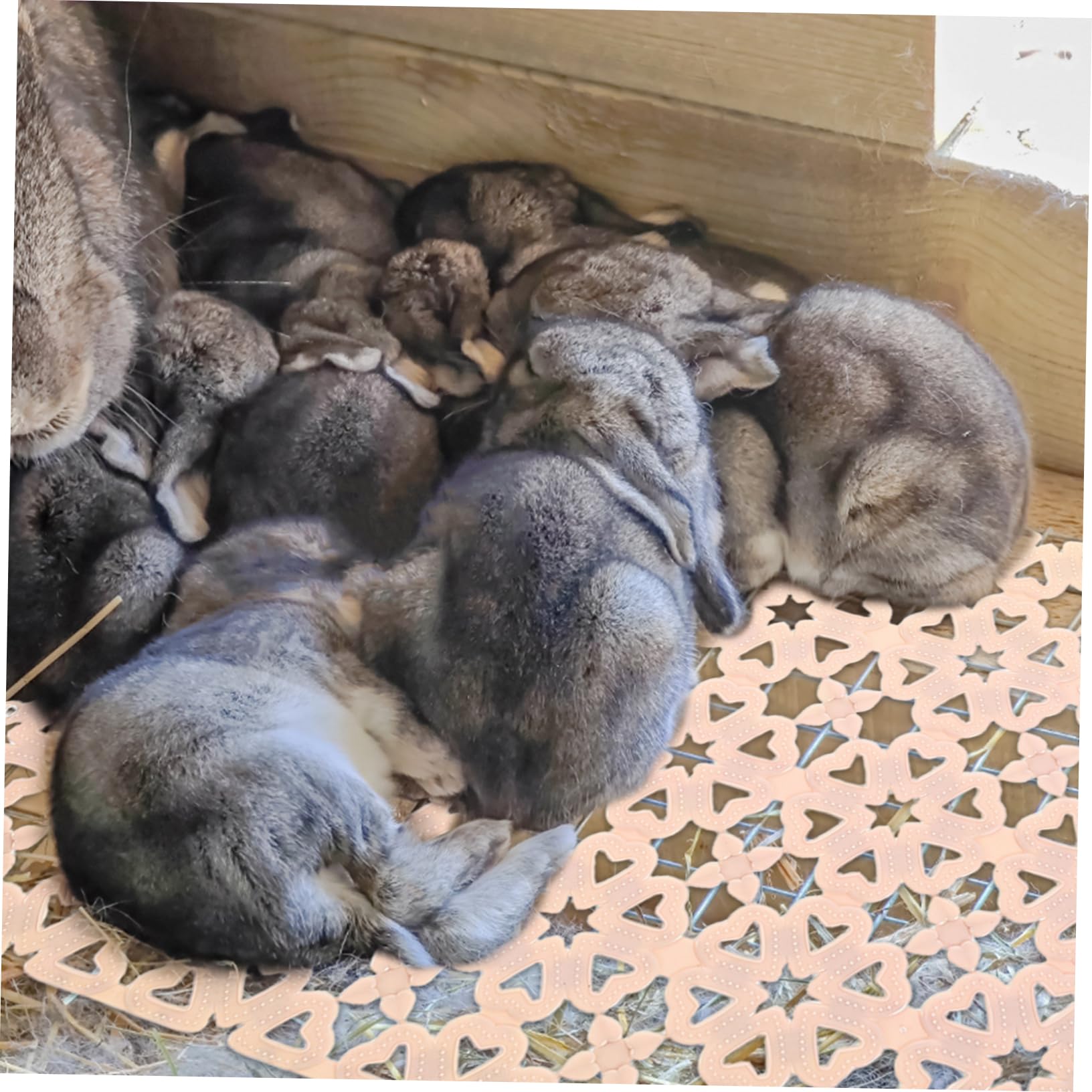 Kisangel Kaninchenkäfig Bodenmatte aus PVC Tiertablett mit Kottrennung 10 Stück für Kaninchen und Hundekäfige Leicht zu Verlegen