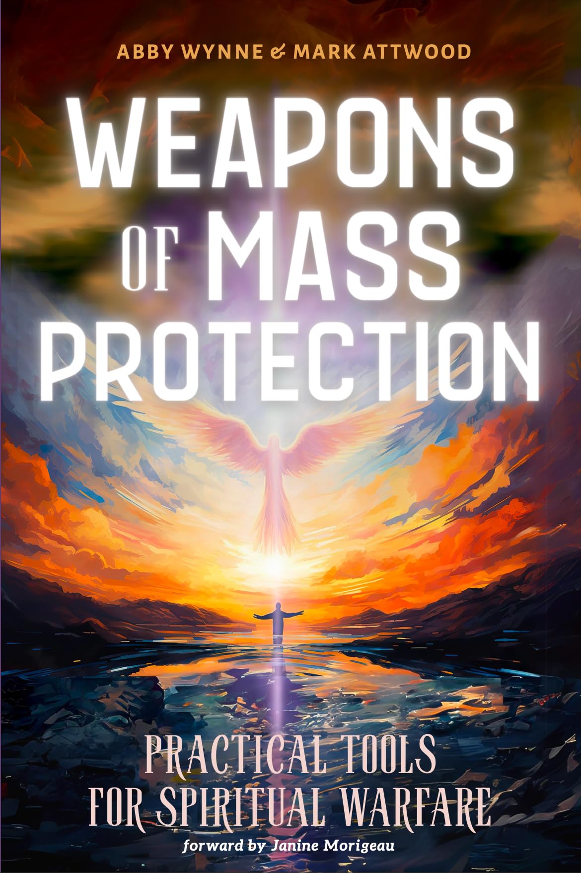 Protecton Inmas Weapons of Mass Protection (1 book series) Kindle Edition