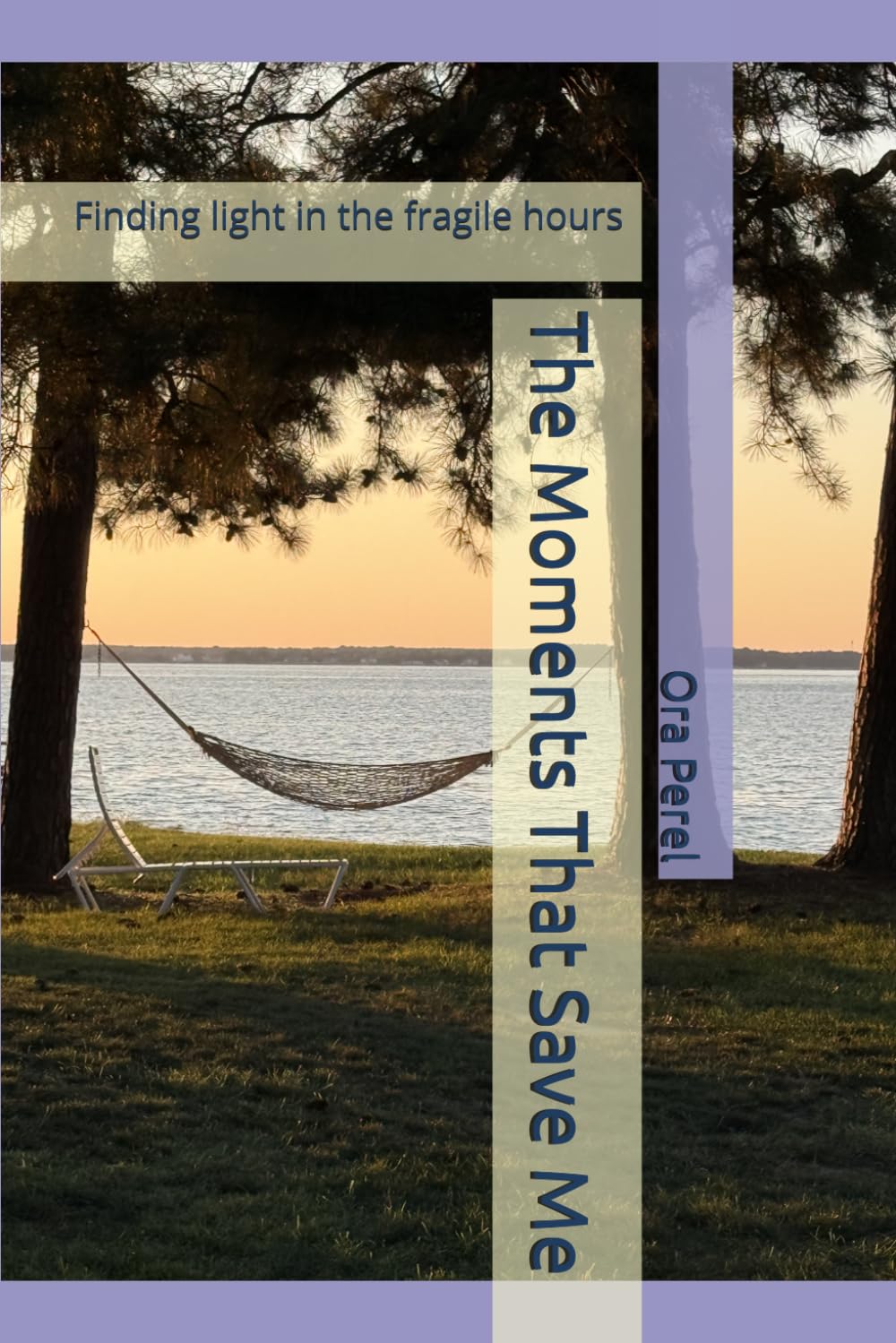 The Moments That Save Me: Finding light in the fragile hours: 2 (The Long Covid Journey)