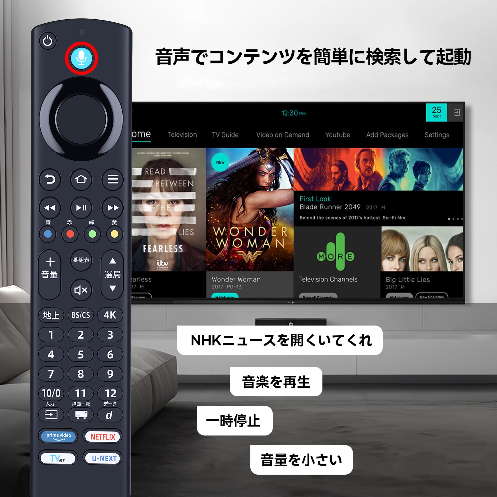 Amazon | テレビリモコン FRM-202TV for Funai 液晶スマートテレビ FL