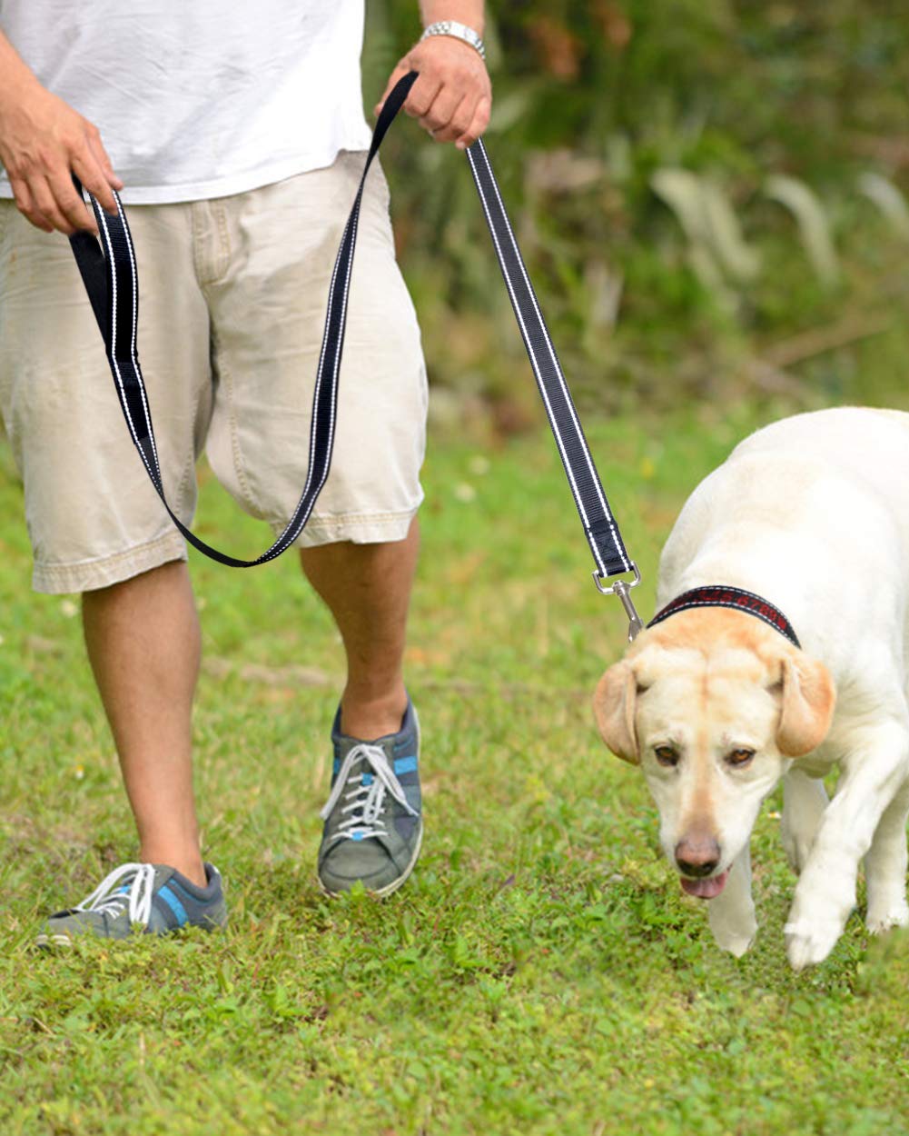 Taglory Guinzaglio per Cani Riflettente con Manico Imbottito e Gancio in Metallo, Nylon Resistente Addestramento Cane Guinzaglio, 1.8 m x 2.5 cm, Nero