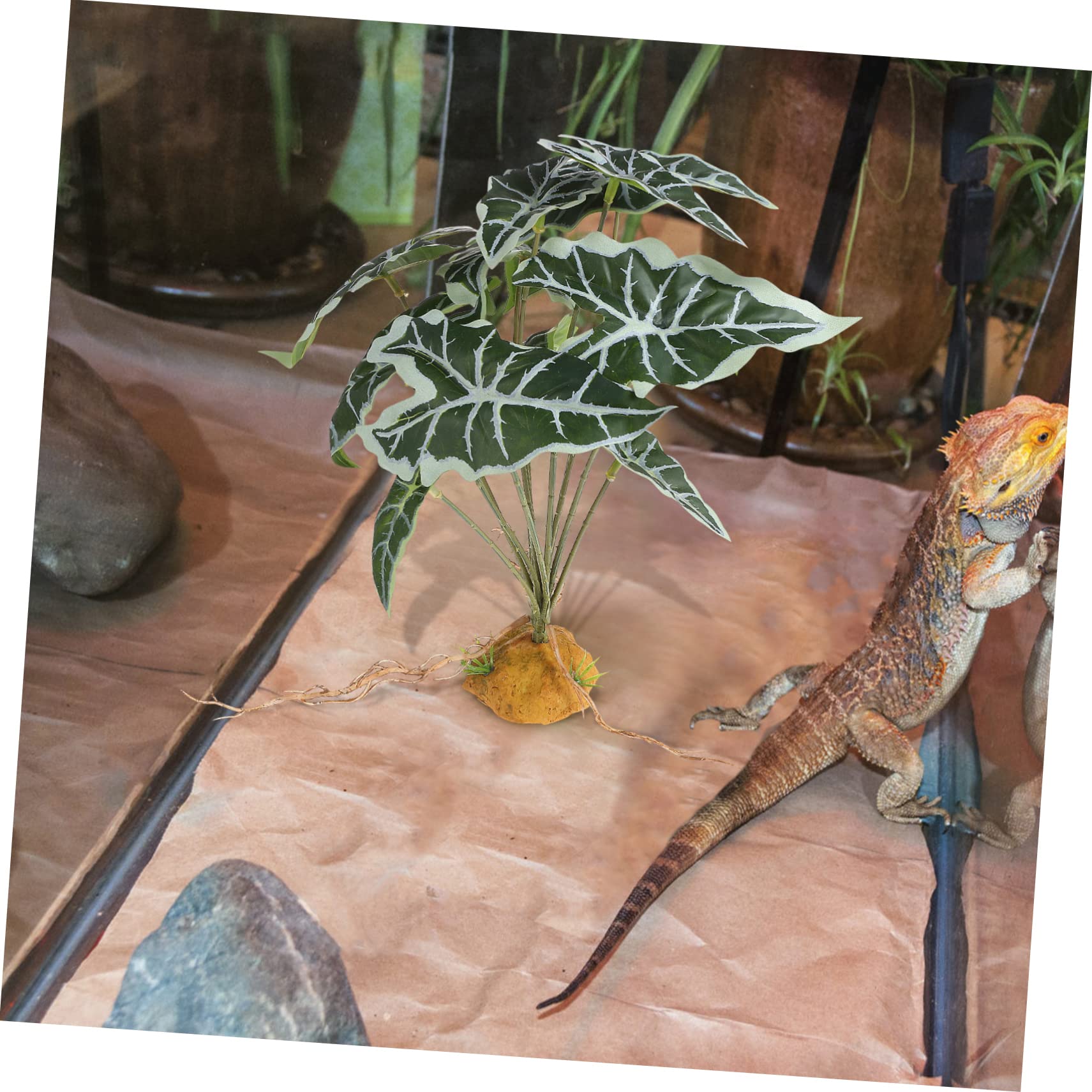 Angoily 4piezas Plantas Artificiales De Simulación para Reptiles y Acuarios Decoraciones De Terrario Base Estable De Adornos Naturales para Peceras y Terrarios