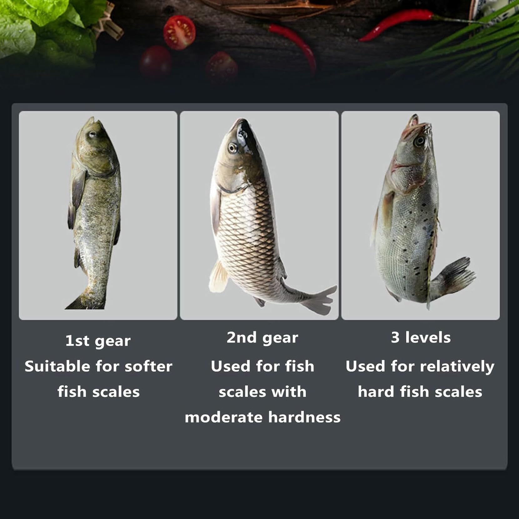 Potente Scalare di Pesce Elettrico ， Smelloler di Pesce Cordless Rimozione Facilmente Rimuovere Le Scalette di Pesce Senza Confusione O Pasticcio per Chef E Cuochi per La Casa