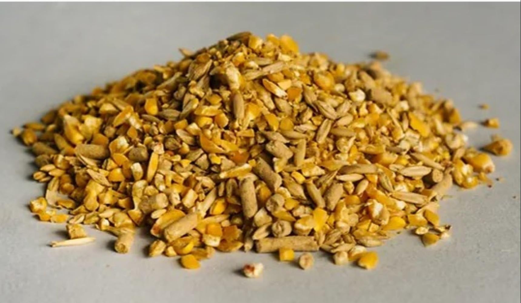 I Square Cattle Mixed Feed for Sheep/Goat for Extra Weight and Growth with Essential grwoth Powder - 900 Grams only,Adult-image-49