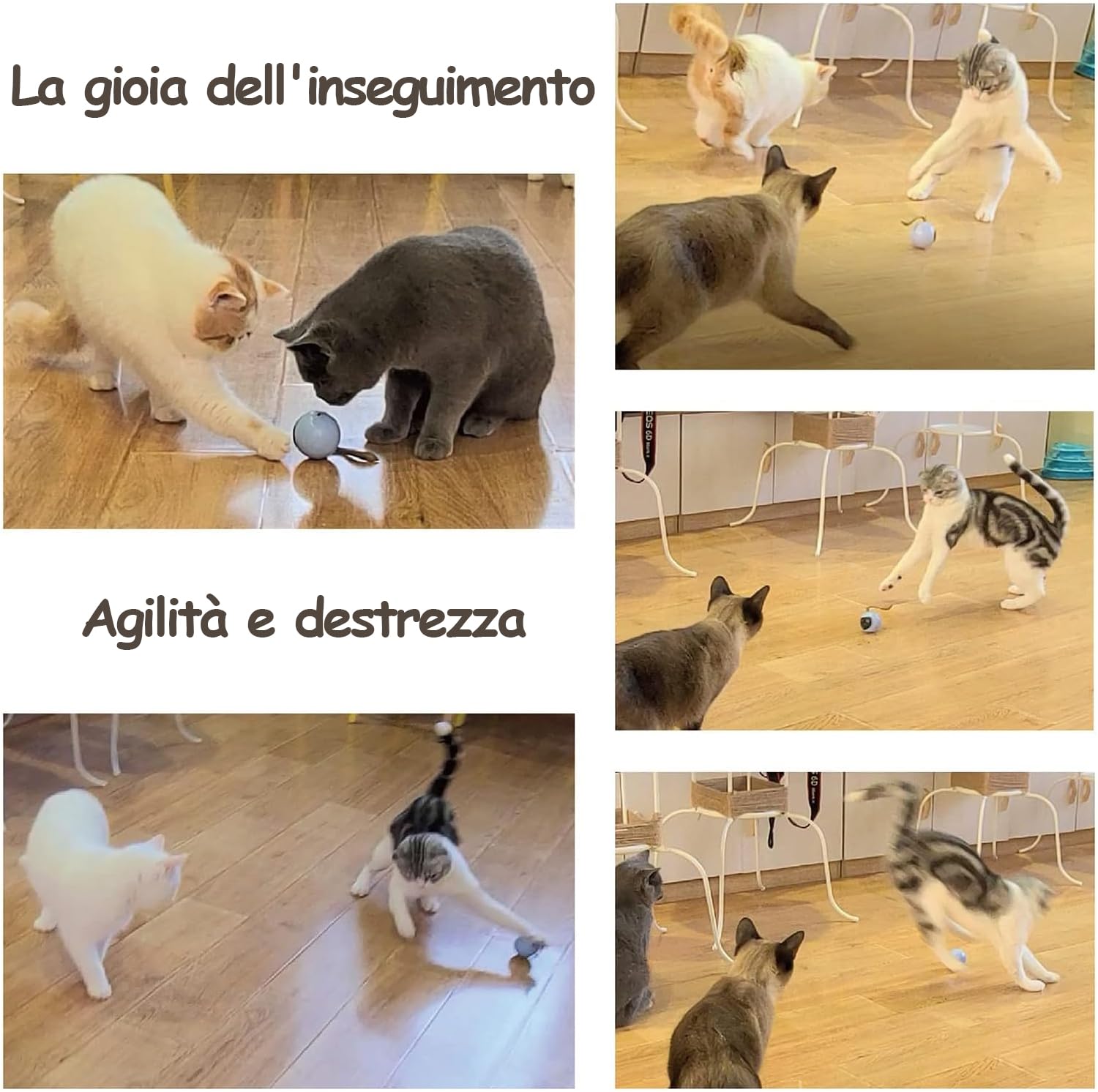 Migipaws Set di giocattoli per gatti, con palline che si muovono automaticamente, topi classici + piume, giocattoli per gattini in confezione, fai da te N in 1 animali domestici, giocattolo elettrico