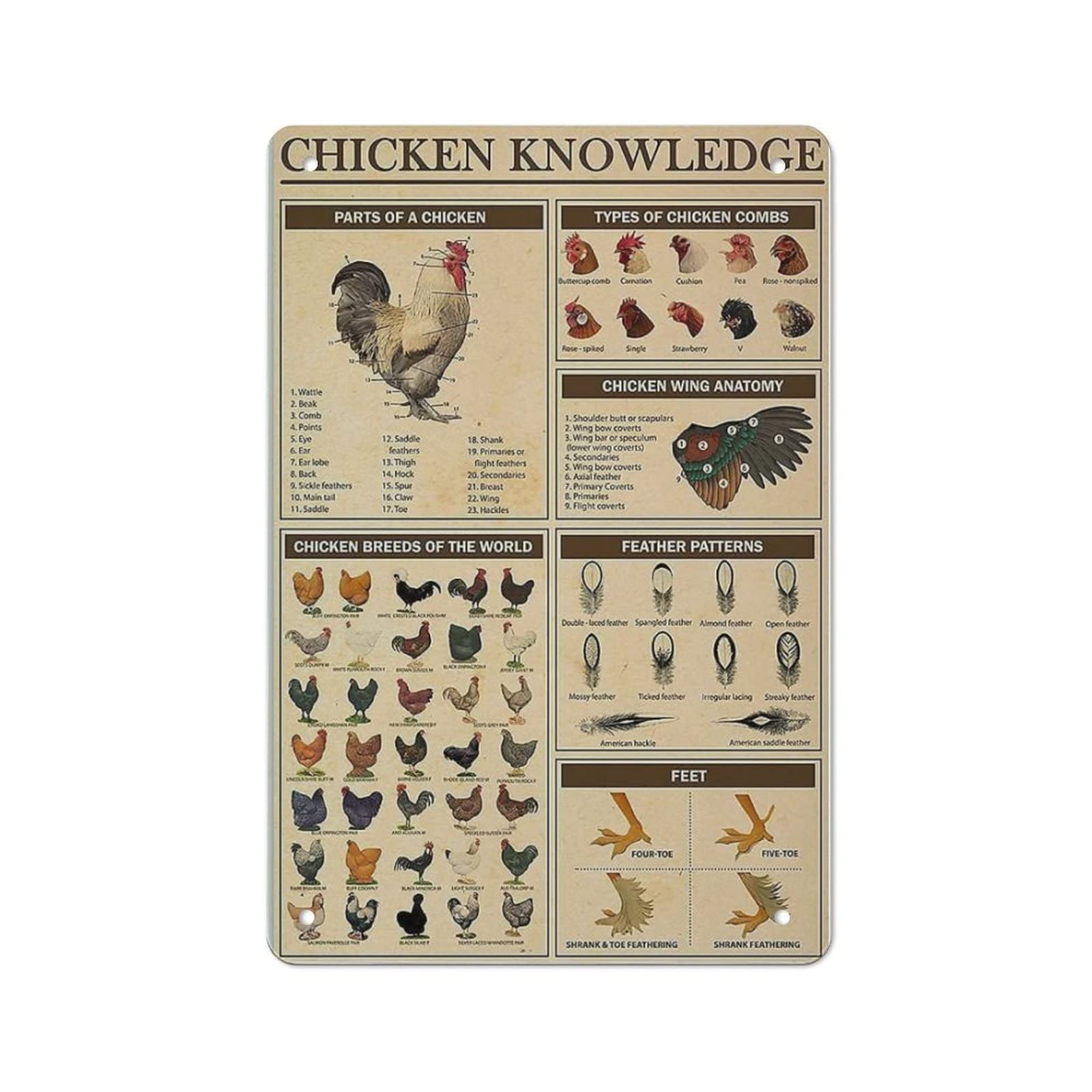AOOEDM Chicken Knowledge Tin Metal Sign Wall Decor Funny Inspirational Quote Wall Art Sign Vintage Tin Signs For Home Coffee Bar Man Cave Sign Pub Poster