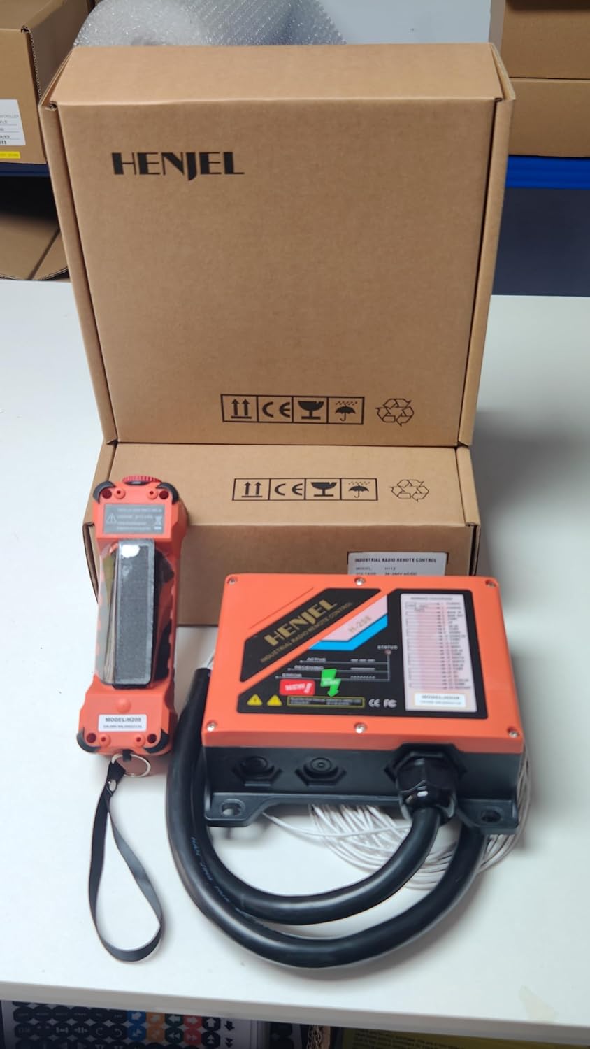 Control Range of the Remote System