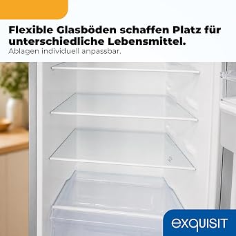 Exquisit Freestanding Fridge Freezer with Water Dispenser 260 L Inoxlook 4 Star Freezer LED Door Alarm 179.5 cm Energy Class D [Energy Class D]