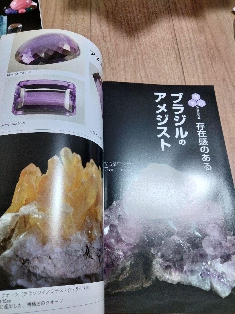 ミネラ (MINERA) No.6地球の不思議発見!アメジスト鉱物化石