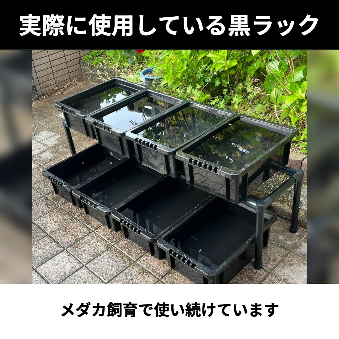 Amazon | おひさまめだか メダカ飼育黒ラック ブラック メダカ棚 1段8