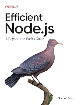 Efficient Node.js:A Beyond-the-Basics Guide