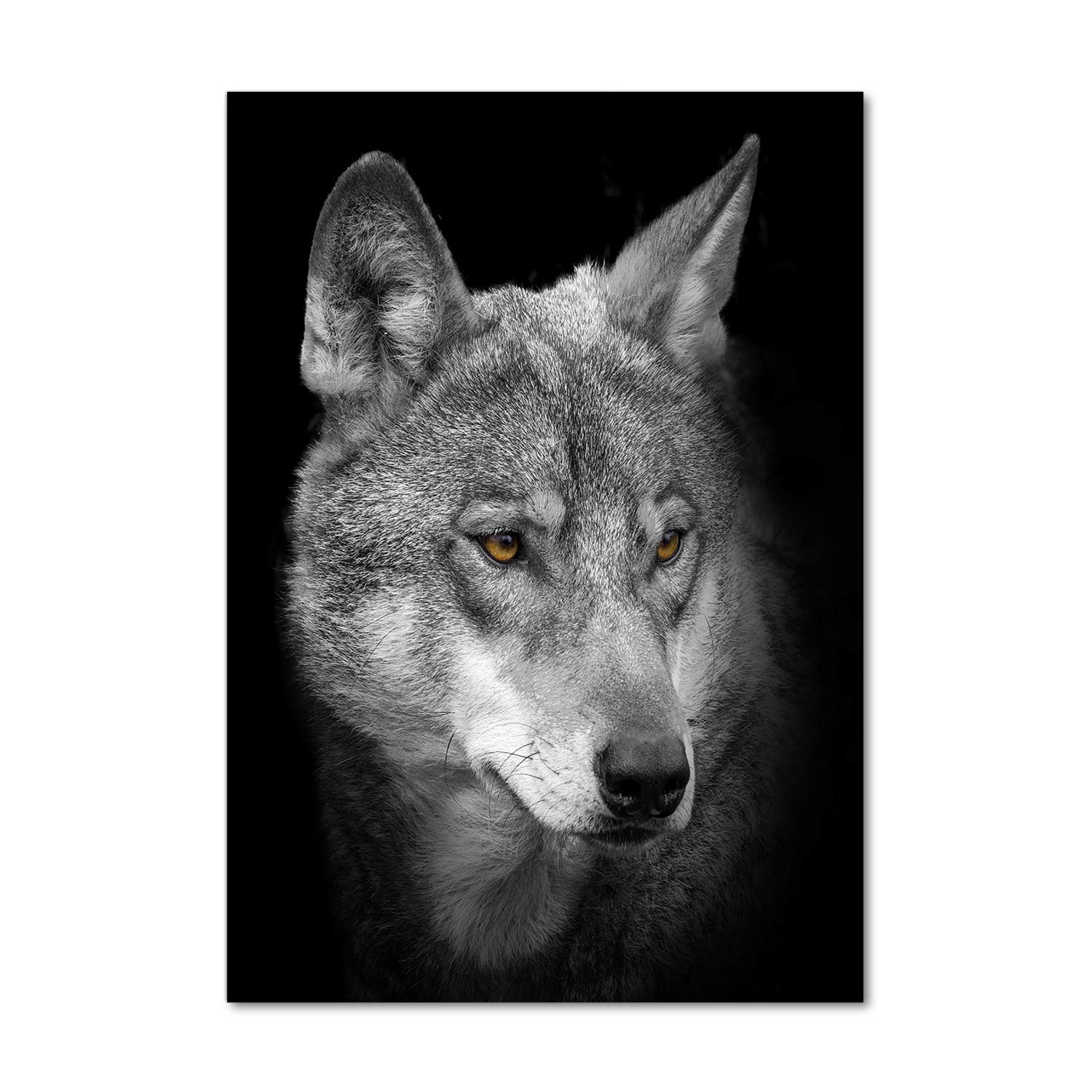 Image sur verre de loup Tulup 70x100 cm pour créer une ambiance scandinave dans votre salon