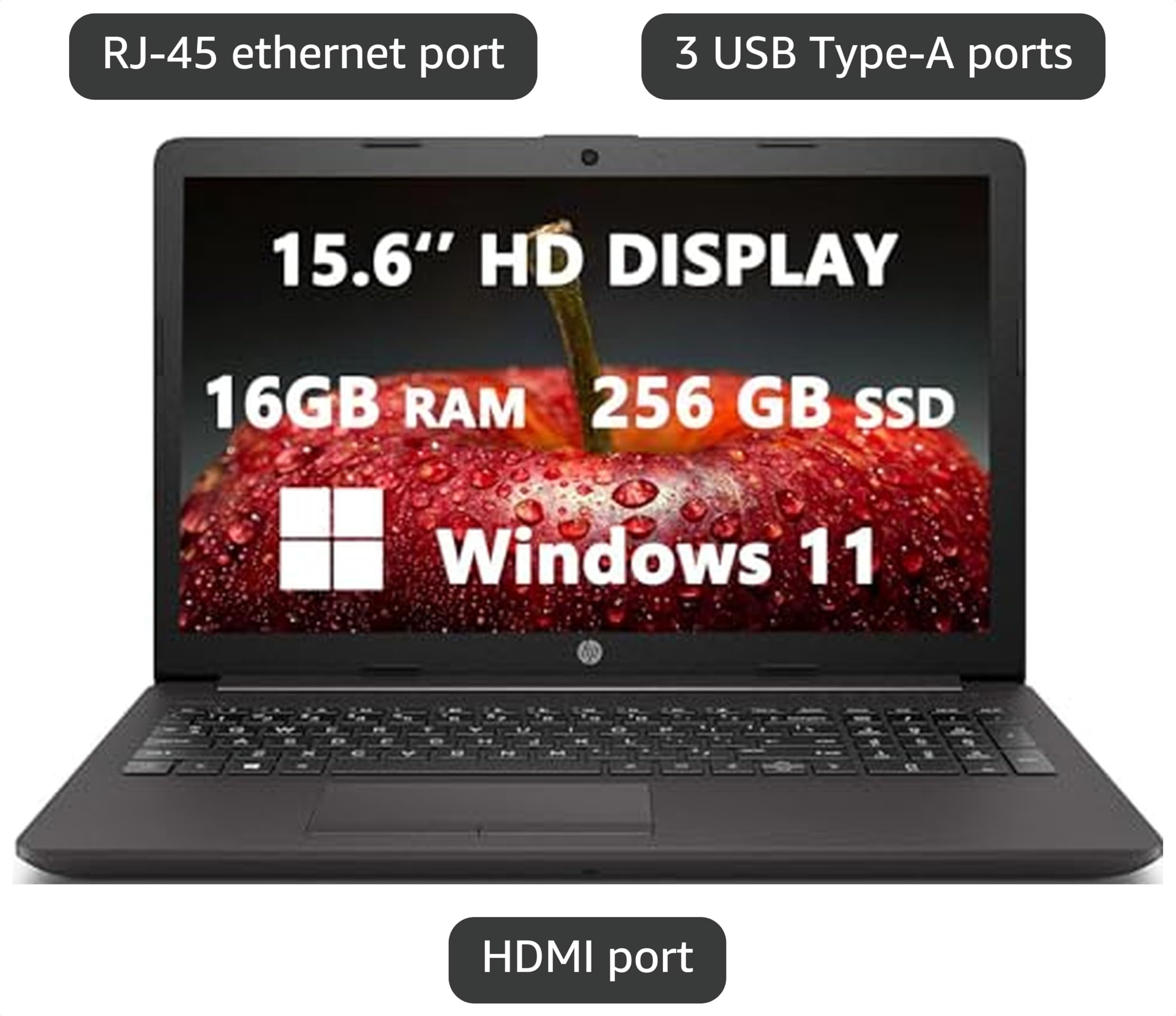 Amazon.com: HP 250 G7 15.6'' HD Computer Laptops for Student