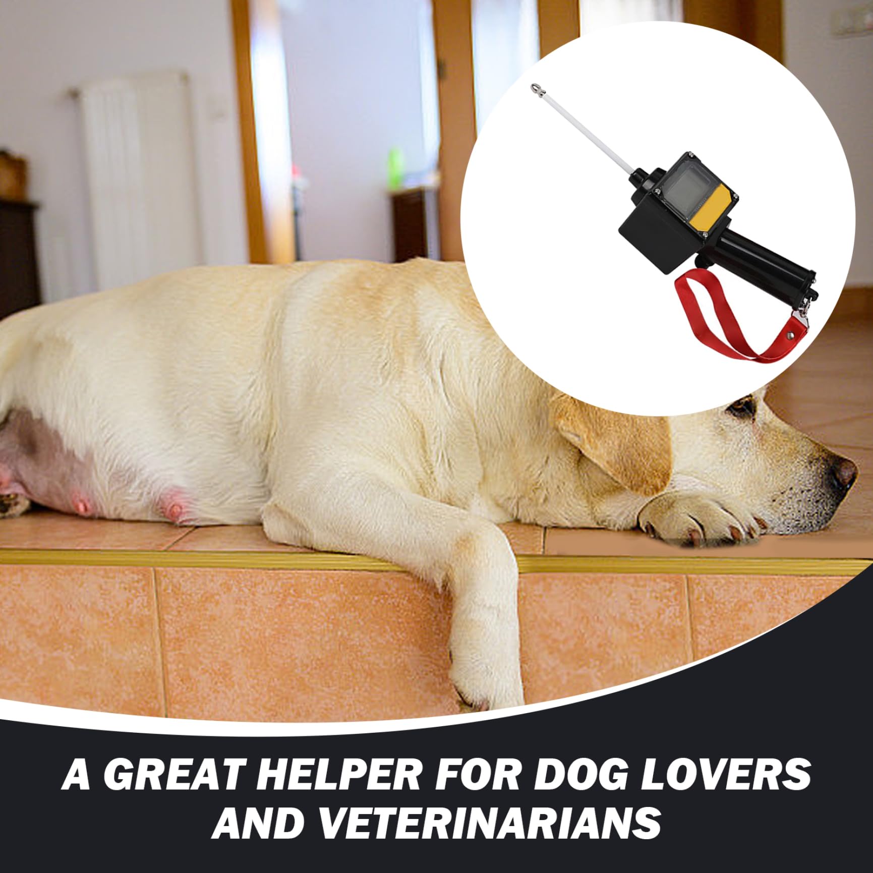 Détecteur d'ovulation pour Chien 2 LCD Test de progestérone imperméable pour Les Chiens avec Une sonde magnétique et Une lonyard Powered Dog Grossancy Test de Reproduction Supplies Ovulation Détecteu