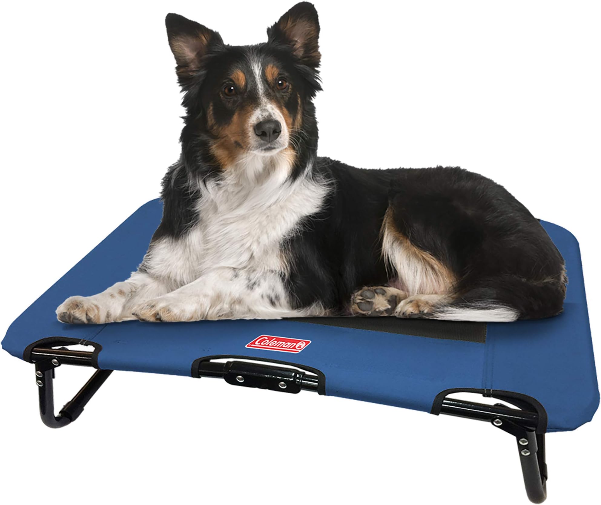 Coleman Folding Cot for Pet Up to 50 Lbs, 30 x 20 x 7