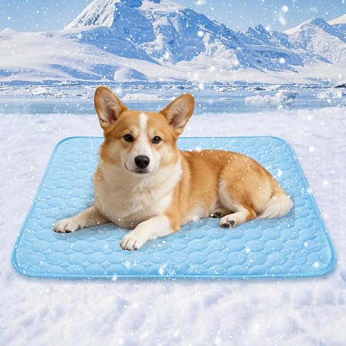 Hestaris Alfombrilla de refrigeración para Perros, 100 x 70 cm, no tóxica y Plegable