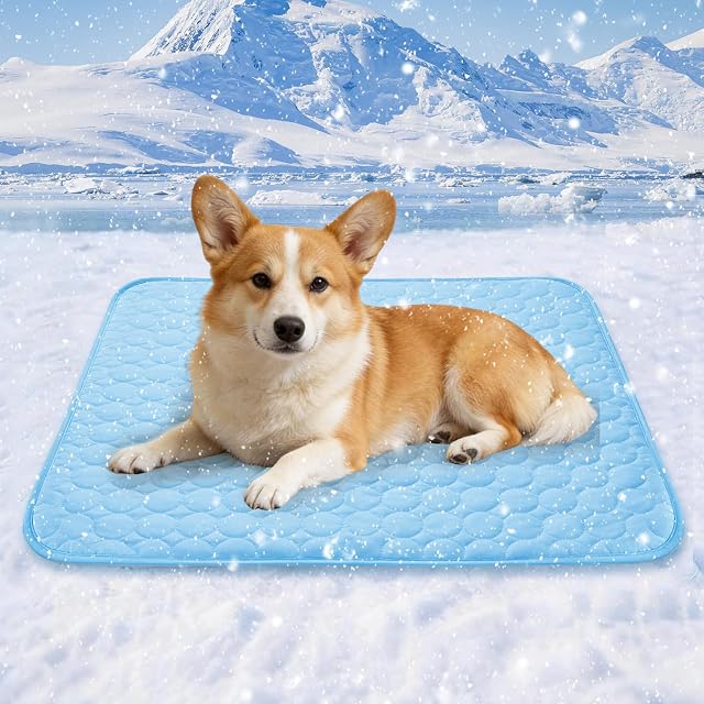 Hestaris Alfombrilla de refrigeración para Perros, 100 x 70 cm, no tóxica y Plegable