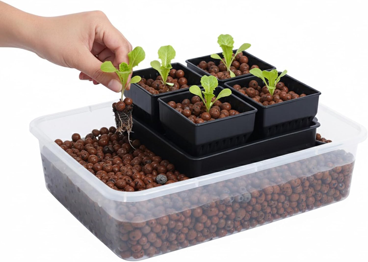 Seed Starter Pots with Tray, 8 Cell Reusable Square Nursery Pots for Seedlings with Drainage Holes, Indoor Outdoor Plastic Gardening Containers for Herbs, Flowers & Vegetables (Black) - Image 6