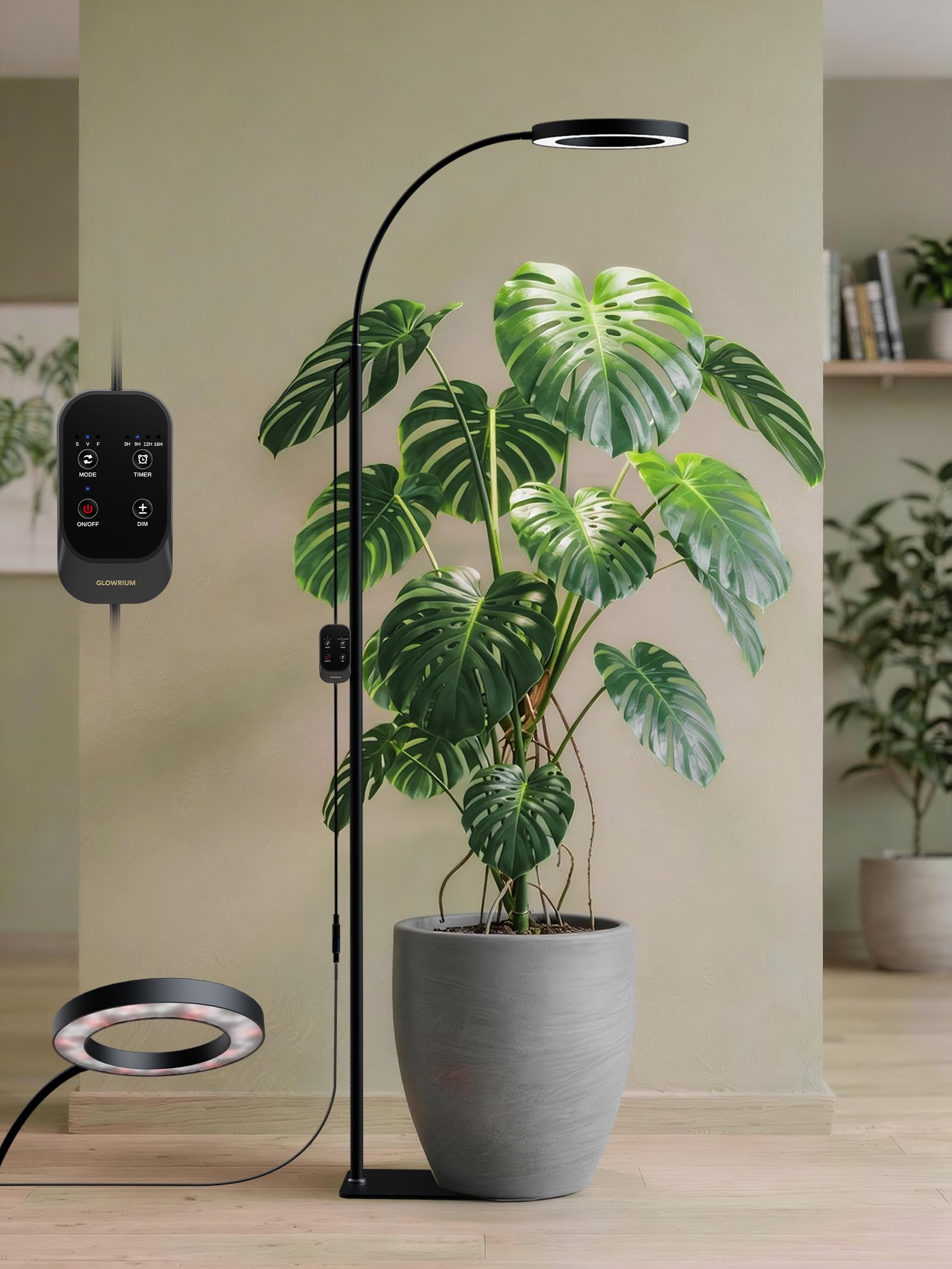 GLOWRIUM Black 20W Floor Lamp