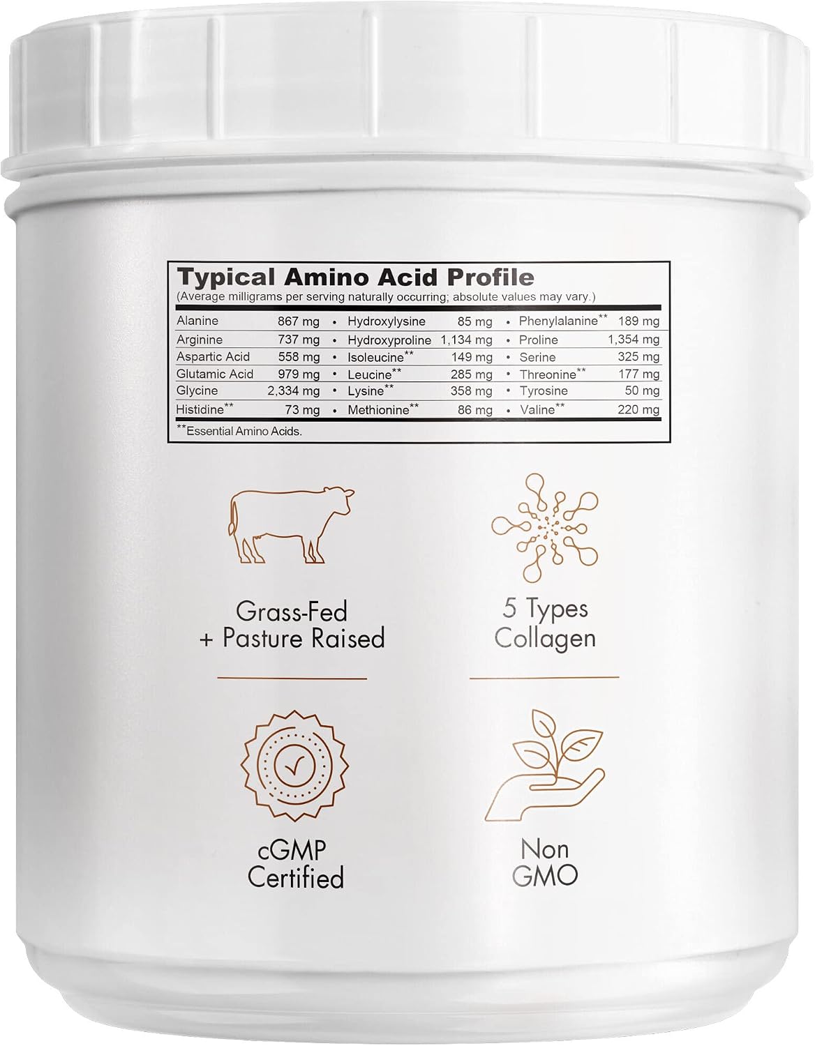 Codeage Multi Collagen Chocolate Protein Powder, Hydrolyzed Collagen Peptides, 5 Collagen Types, Collagen Creamer, Protein Shakes, MCT Oil, Hair, Skin, Nails, Joints, Grass-Fed, Non-GMO - 18.17 oz