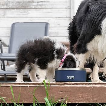 YETI BOOMER 4 ドッグボウル 黒 Boomer™ 4 Dog Bowl – YETI EUROPE