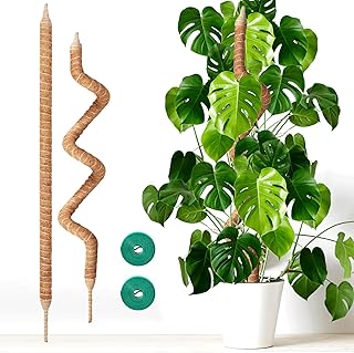 2-Pack 60in Large Moss Pole for Monstera, Bendable & Sturdy Pothos Plant Climber Support, Philodendron, Fishbone Cactus & Indoor Tropical Houseplants, Made for Coco Coir
