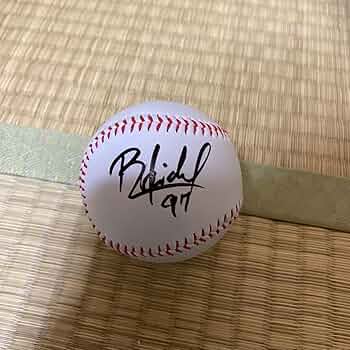 Amazon.co.jp: 中日ドラゴンズライデル・マルティネス選手直筆サイン