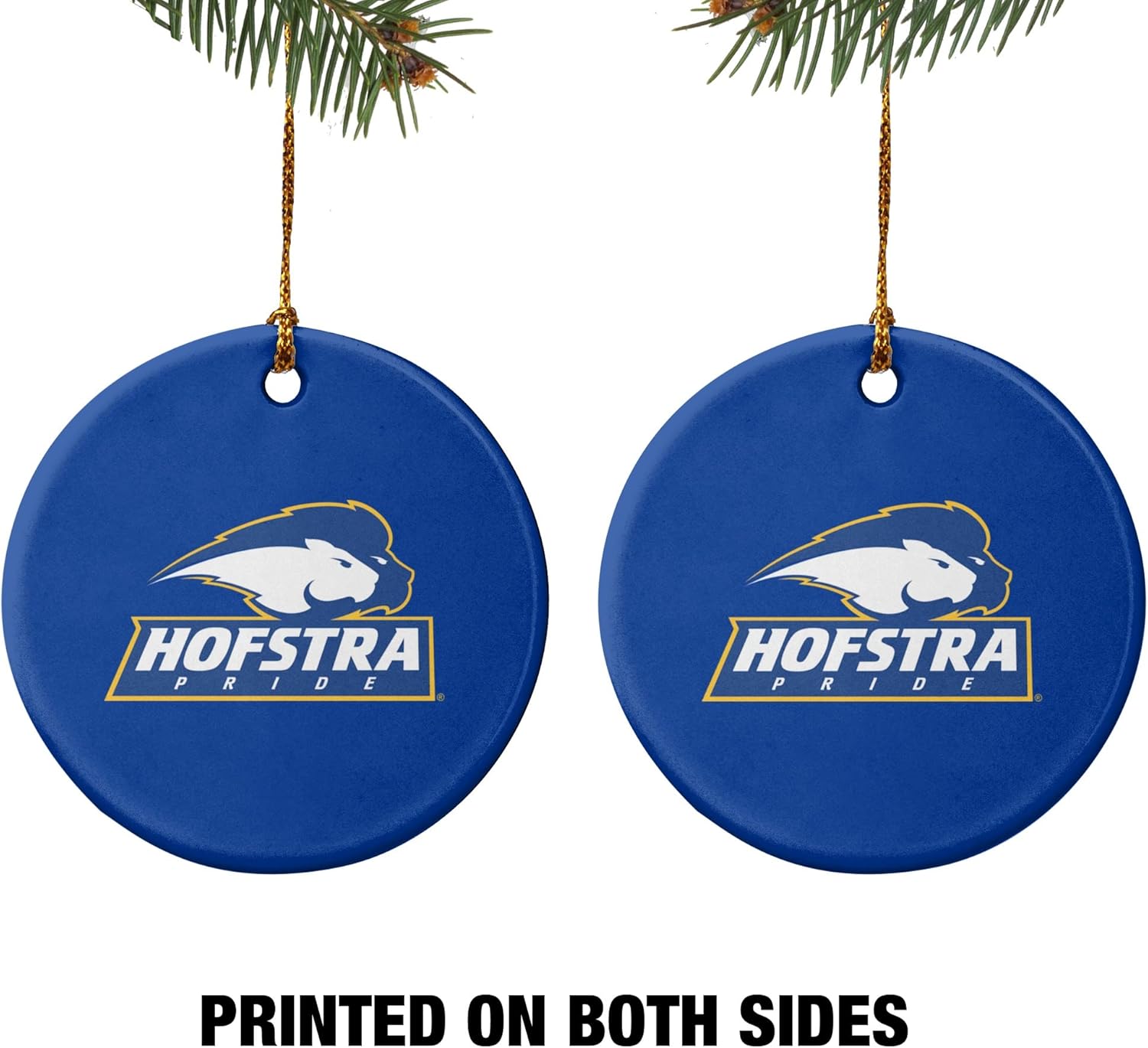 GRAPHICS & MORE Hofstra University Lions Logo Porcelain Holiday Christmas Tree Ornament - 2.8" (7.1 cm) - Image 2