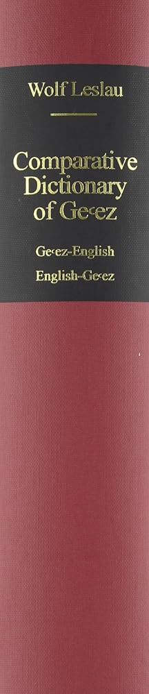 辞書Teora Dictionar Englez-Roman　ルーマニア語⇔英語 辞書Teora Dictionar Englez-Roman ルーマニア語⇔英語 辞書