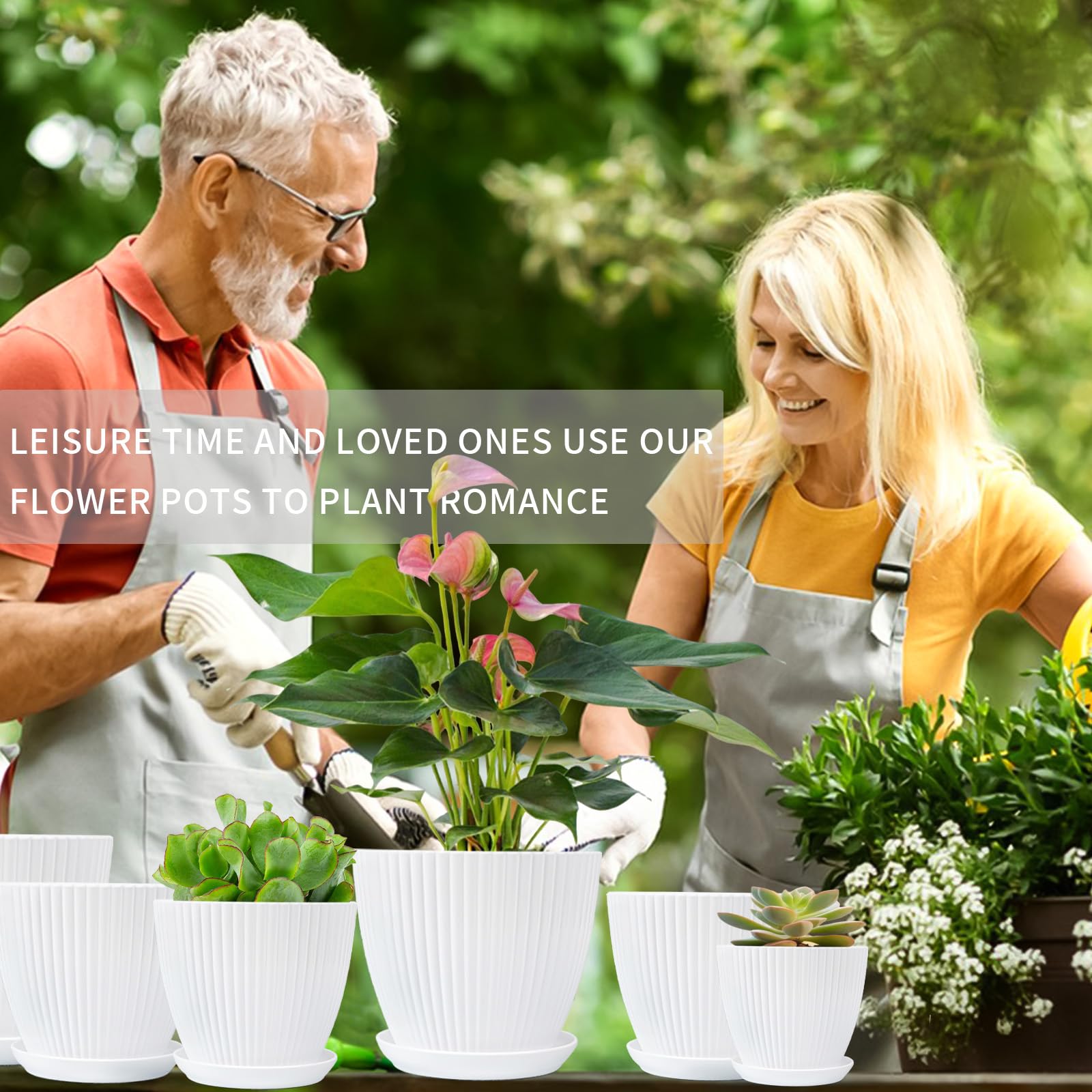 Acetero De Riego Autoático, Paquete De 2 Acetas De Violeta Africana