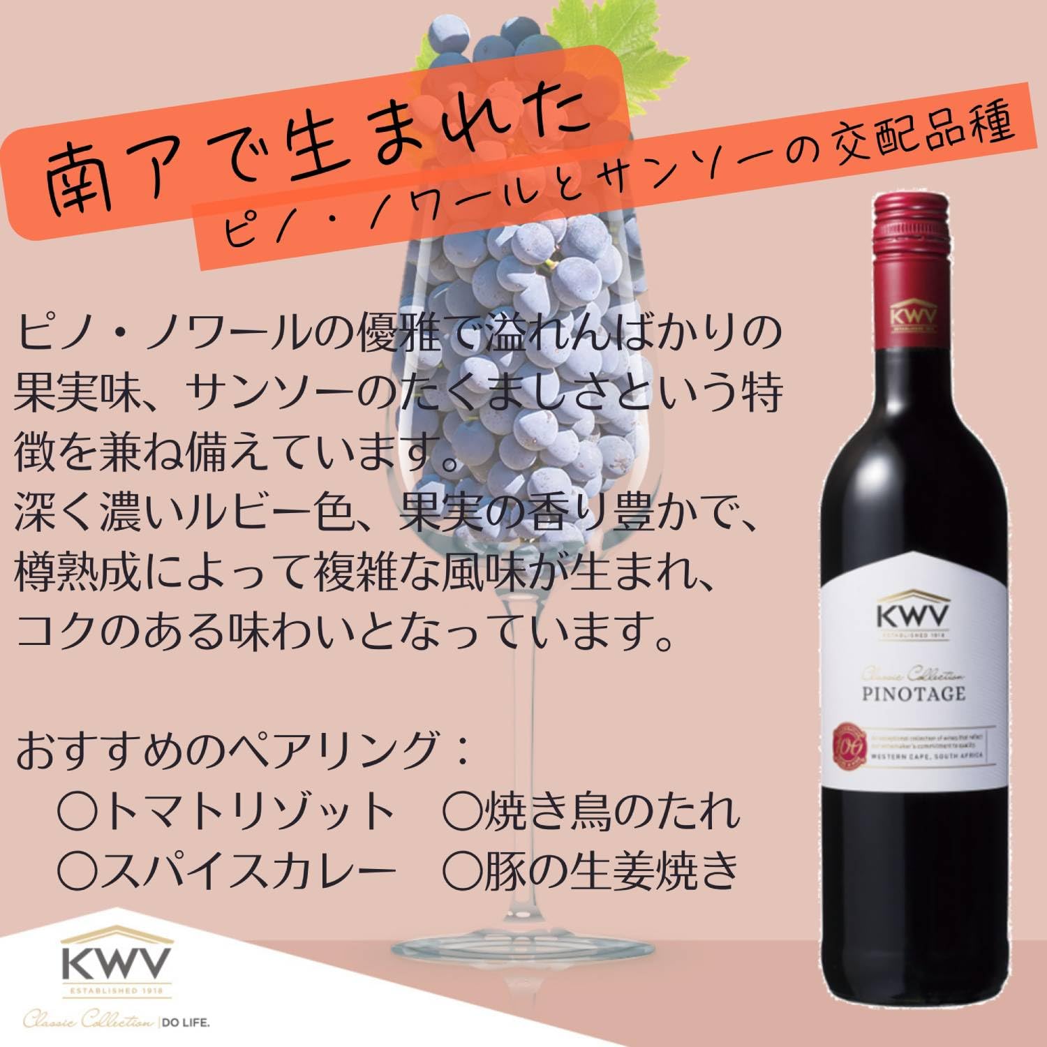 THE FALSE WIDOW 2022 ピノタージュ 10本➕2本セット THE FALSE WIDOW