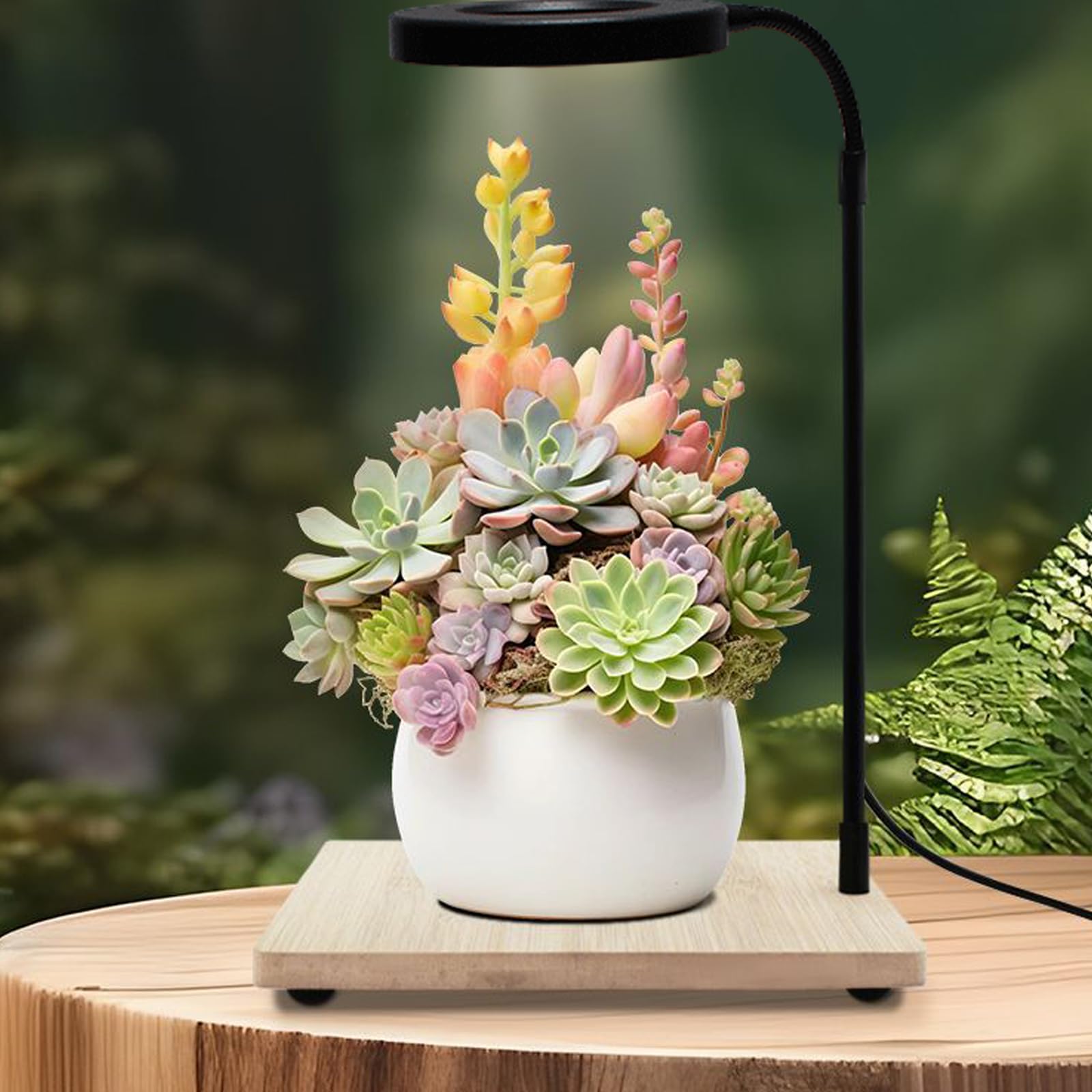 Drehbare LED Aquarienlampe Mit Ständer Aus Naturholz Für Kleine Aquarien Sukkulenten Topfpflanzen Landsacping Lampe Aquarium Licht