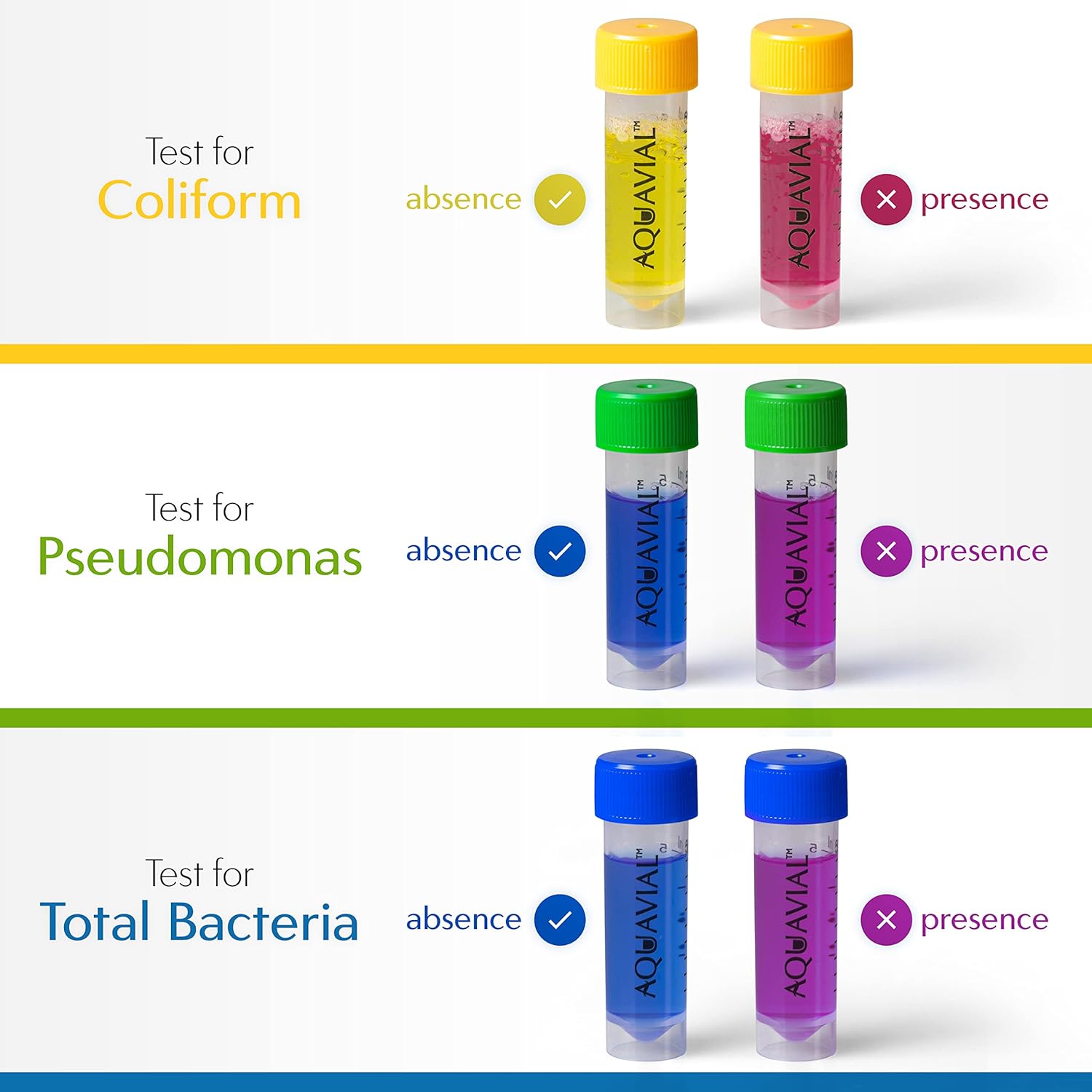 Swim Water Test Kit Detects and Identifies Pseudomonas and Coliforms | 2 Pack | Testing Kit for Swimming Pool Water Hot Tub Spa Pond | Water Tester Outdoor