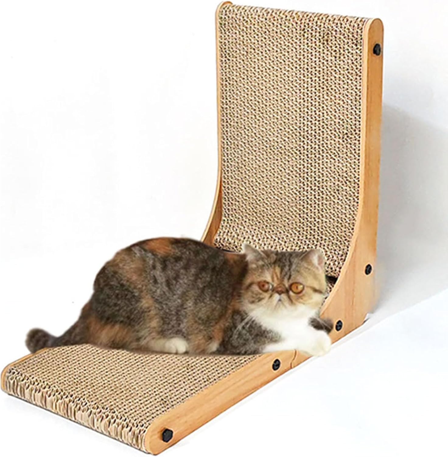 Lovely Cats Teasing Toy Indoor Floor Furniture Exercise Play Funny Toy Cats Exercise Multifunctional Track Circuit