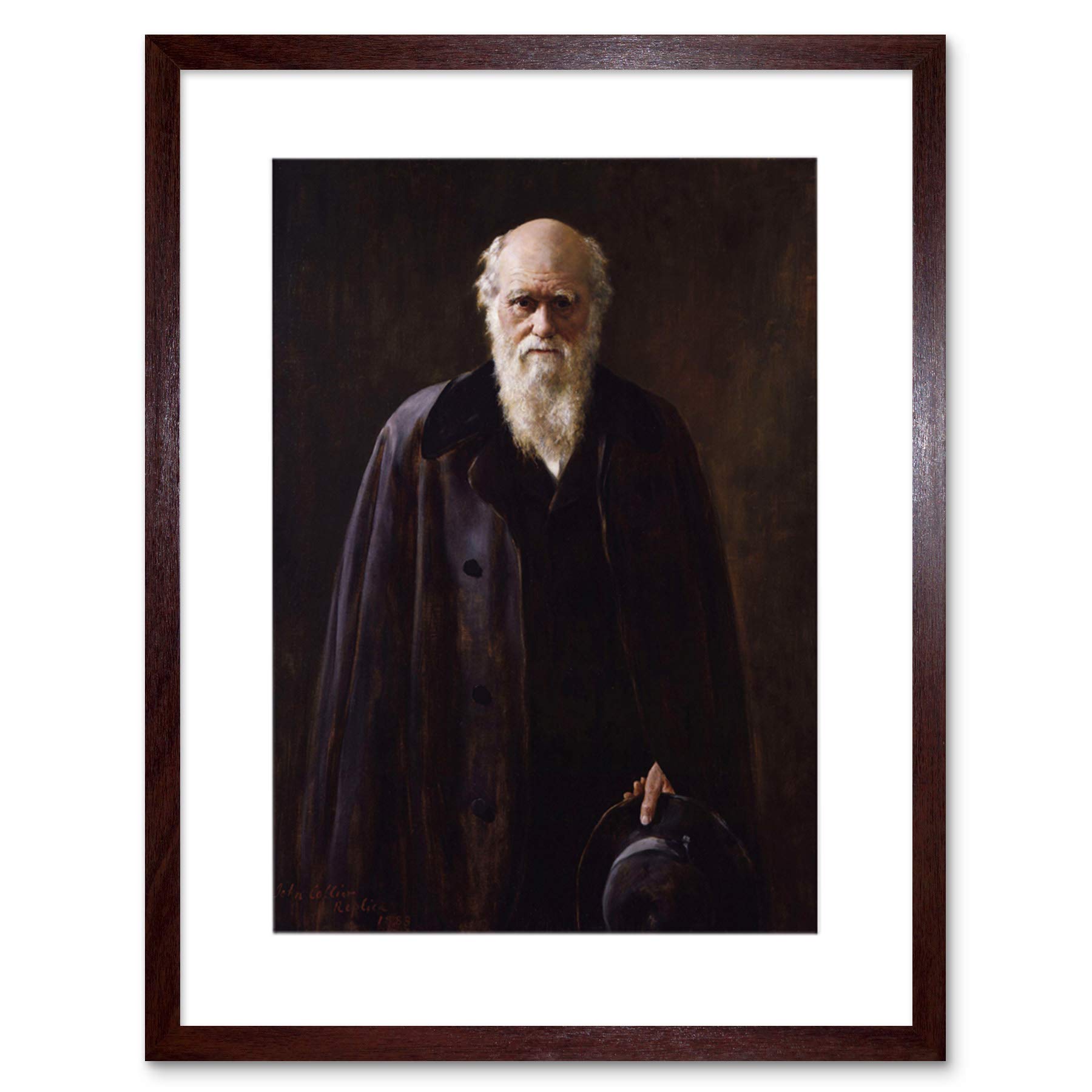 Wee Blue Coo Painting Collier Portrait Scientist Charles Darwin Framed Wall Art Print