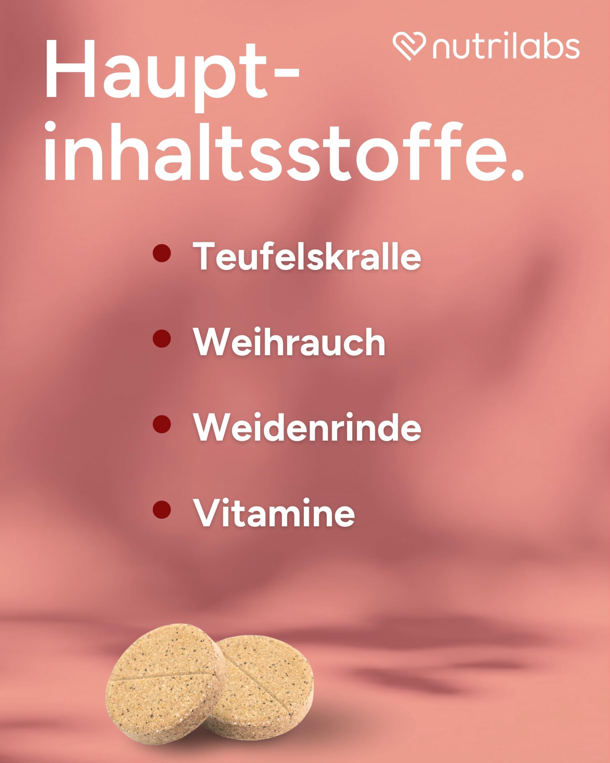 NutriLabs Dexboron forte Hunde Kautabletten 150 STK. - Tabletten mit Teufelskralle - Regenerationsmittel mit Weidenrinde, Weihrauchextrakt u.v.m.