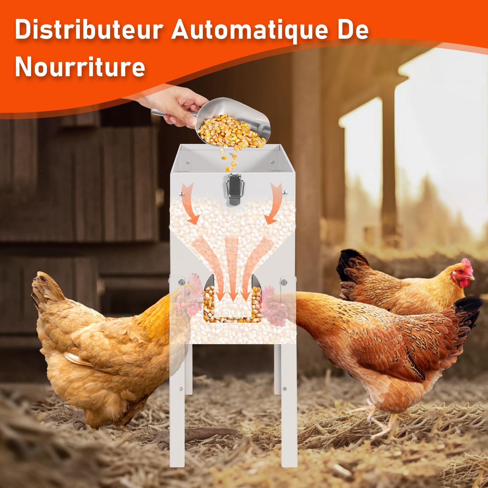 Mangeoire Automatique Poule en Métal, 5kg Distributeur Graines Poules, Poultry Feeder Pigeons Et Canards, Réglable en Hauteur, Accessoire Poulailler