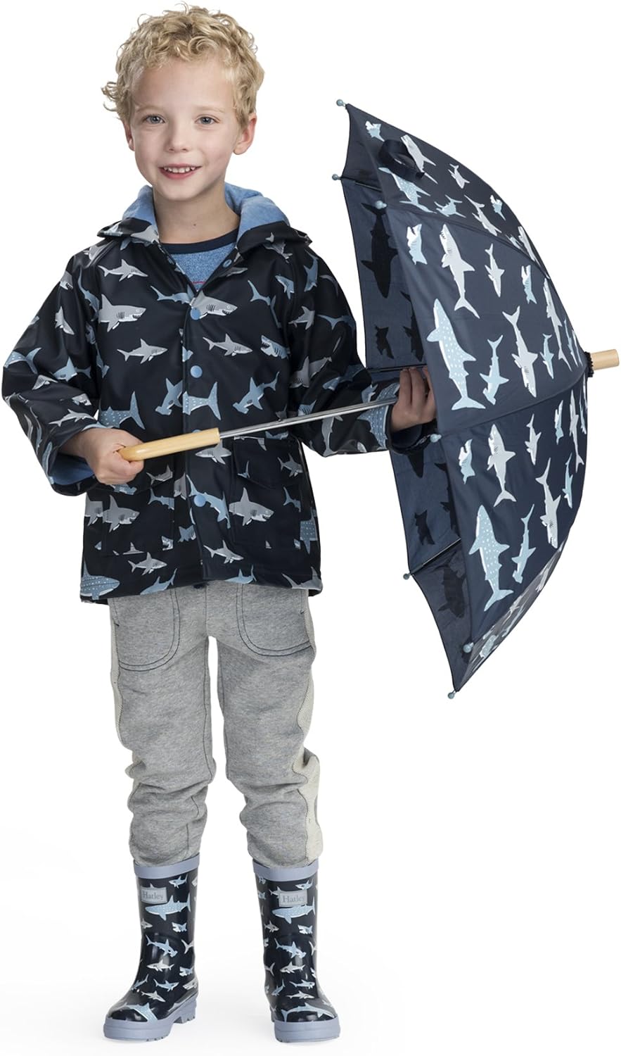 Hatley Boys' Printed Umbrellas One Size Shark Frenzy