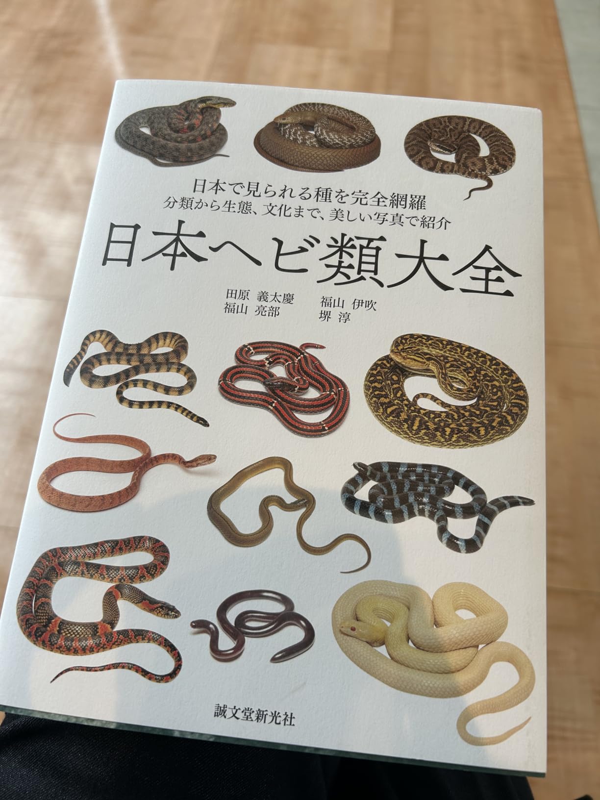 日本のヘビ大図鑑: ヘビ 種類 一覧 | コブラとはの検索結果 – AILCNV