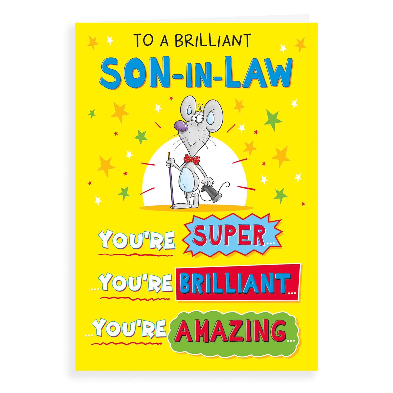 Piccadilly Greetings Regal Publishing Humour Birthday Card Son In Law - 9 x 6 inches C81048