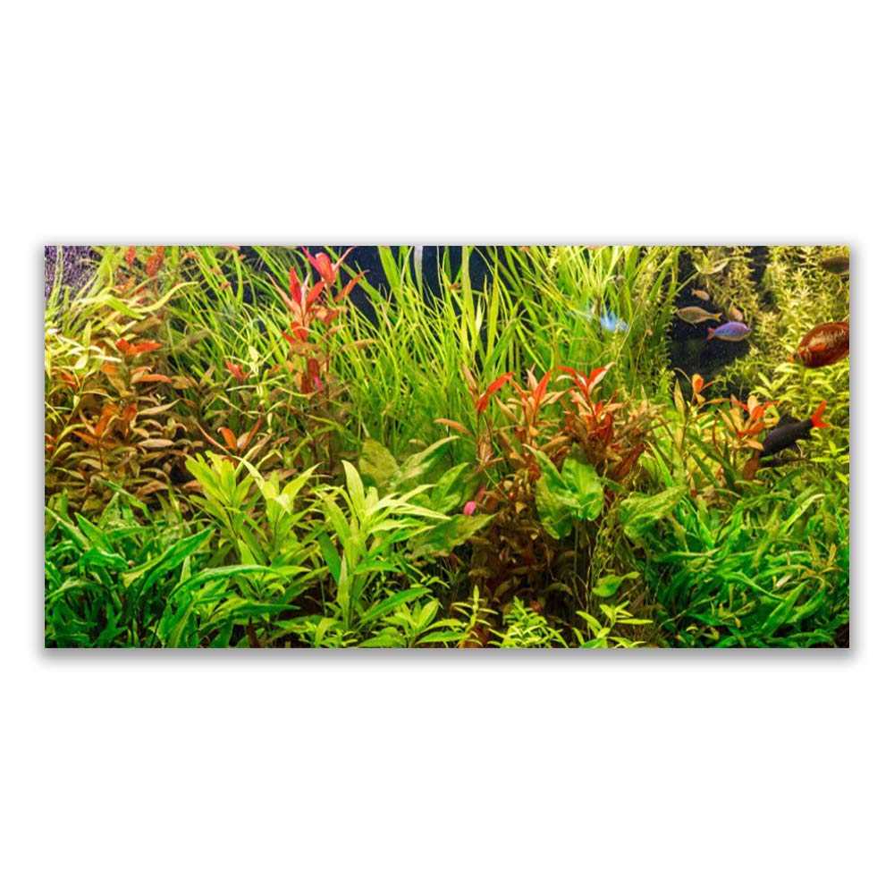Impression sur toile Tulup tableau déco mural moderne plantes floral 120x60
