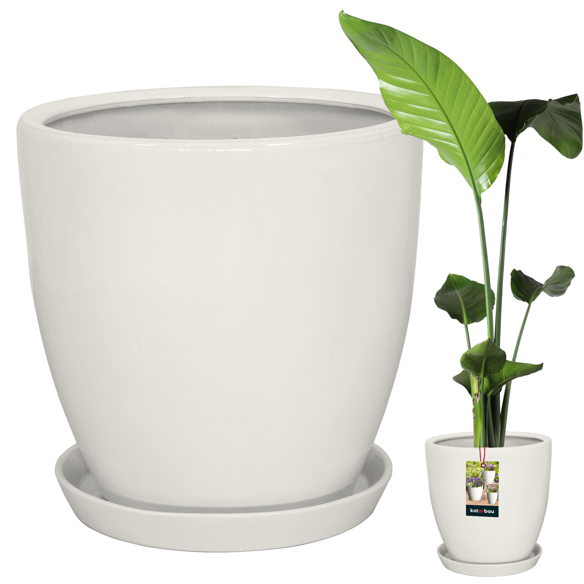 KOTARBAU Pot de fleurs avec soucoupe - Blanc - Diamètre : 31 cm - Hauteur : 30 cm - En céramique émaillée - Grand pot de fleurs pour cactus