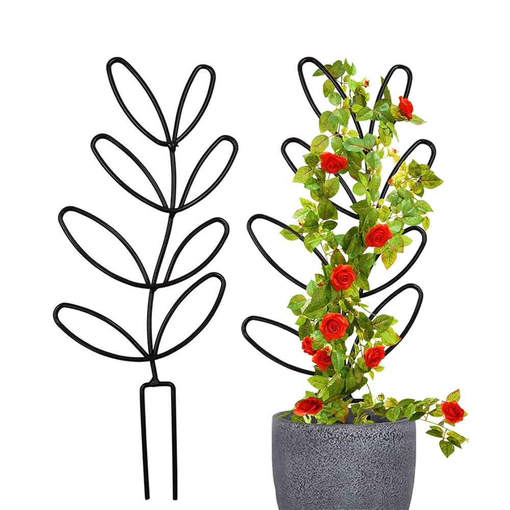 *YUYU・植物とアート♡*専用 YUYU・植物とアート♡*専用 ュ氏植物 (@Yushisyokubutu_)