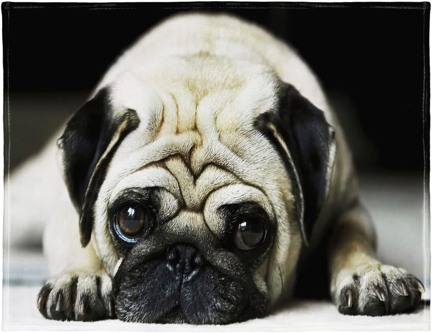 60" x 80" Cute Pug Blanket Comfort Warmth Soft Plush Throw for Couch