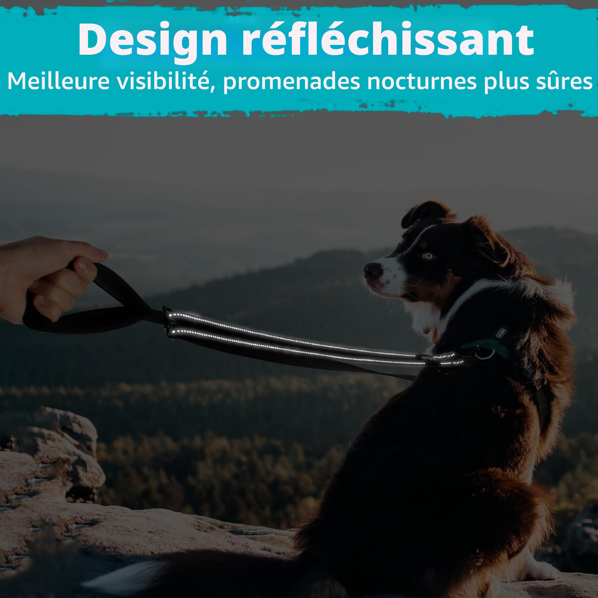 PetBonus Laisse Anti-Traction pour Chien, Double Laisse Anti-Traction réfléchissant, pour l'entraînement et la Marche, pour Chiens de Grande Taille et Moyenne (Noir)