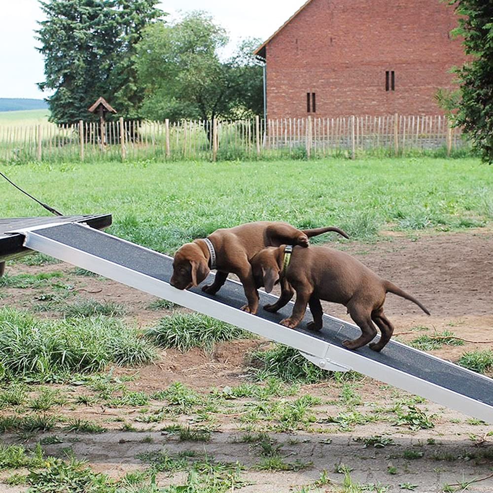 Petigi Rampa per Cani Animale Pieghevole Auto Casa 244 cm