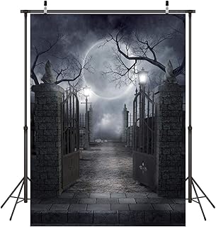 LYWYGG 5x7FT Halloween Background Halloween Moon Night Horror Night Halloween Decoration Halloween Backdrops Vinyl Photo Background Photography Backdrop Studio Prop CP-52