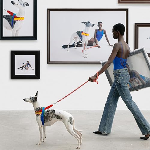 Miniatura 2 de VETRESKA Arnés sin tirones para perros pequeños, juego de arnés y correa para perro fácil de caminar, arnés para cachorros para caminar y entrenar,