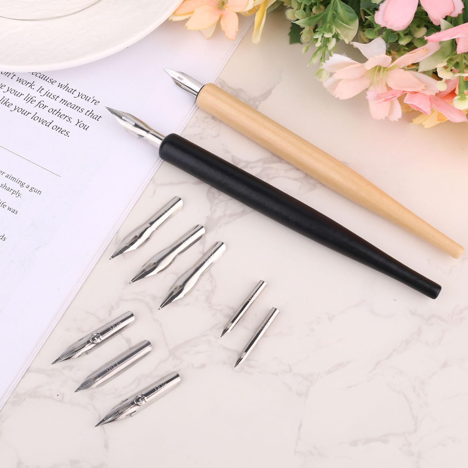 Coffret de Plumes Dessin avec 2 Porte-Plumes en Bois et 10 de Rechange en Acier Inoxydable, 5 Styles pour Porte pour Calligraphie Dessin Écriture Croquis et Signature